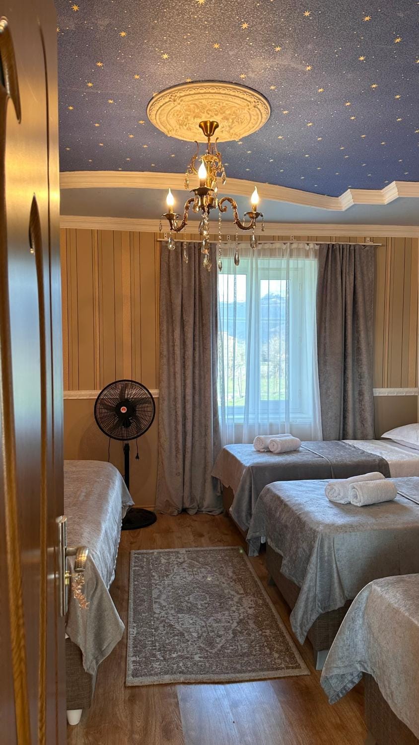 Bed, Photo of the whole room, fireplace, air conditioner