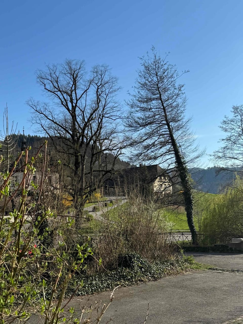 Bed & Breakfast Müllers Klostermühle Bed and Breakfast in Baden-Württemberg