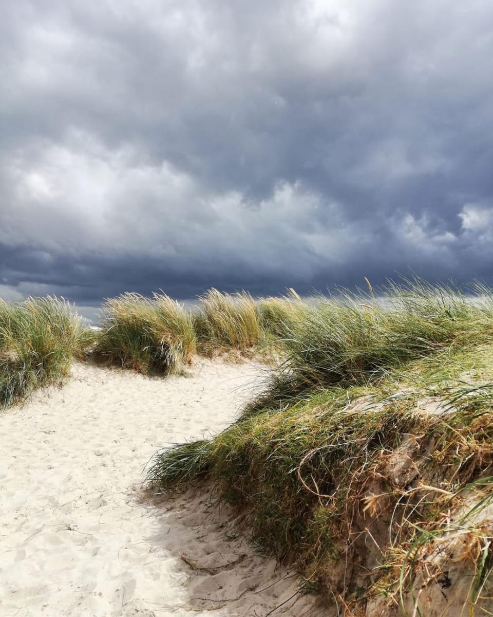 Natural landscape, Beach