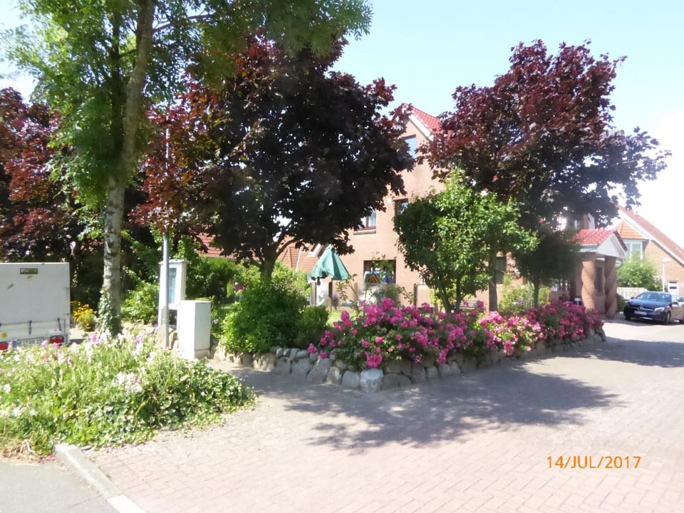 Neighbourhood, View (from property/room)