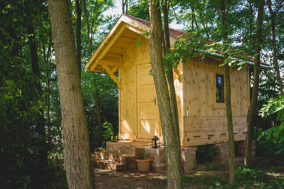Activities, Other