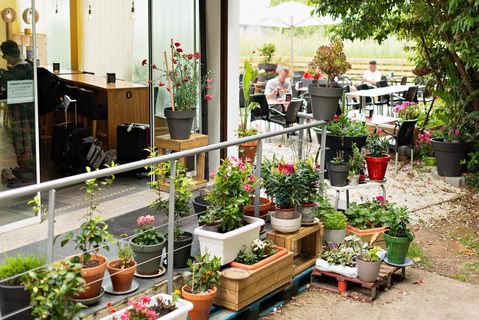 Cruce de Caminos Arzúa Hostel in Arzúa