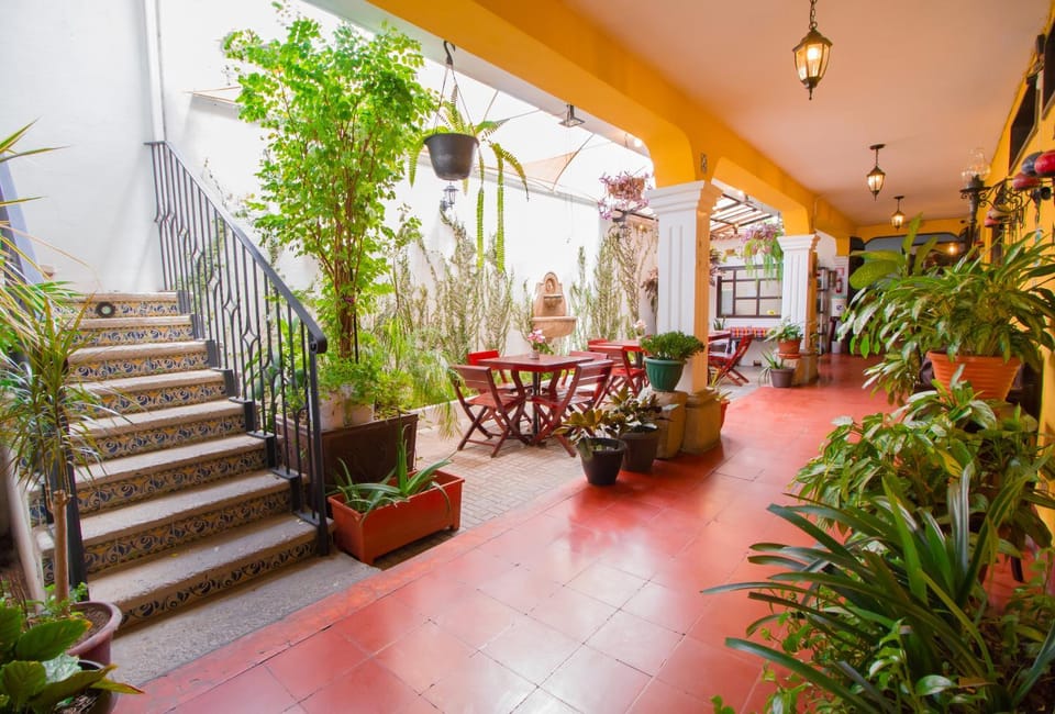 Patio, Garden, Garden view