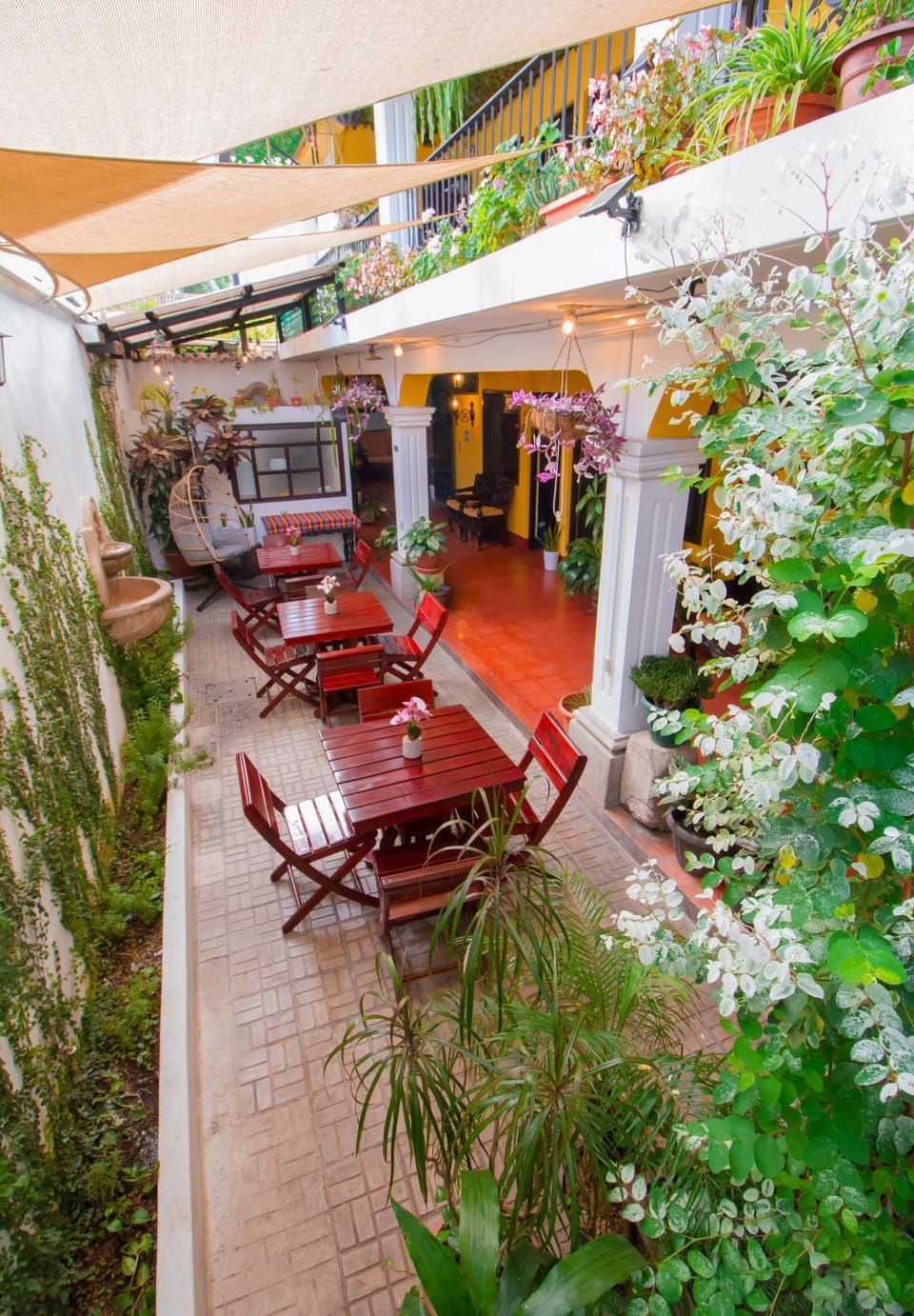 Patio, Garden, Garden view
