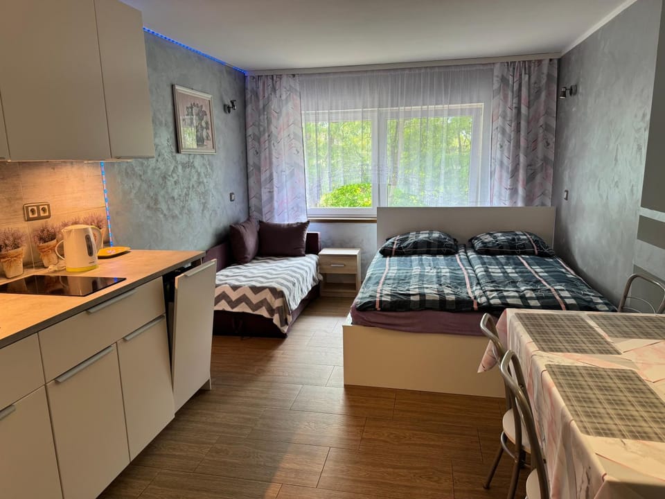 Leśna 5E Vacation rental in Pomeranian Voivodeship