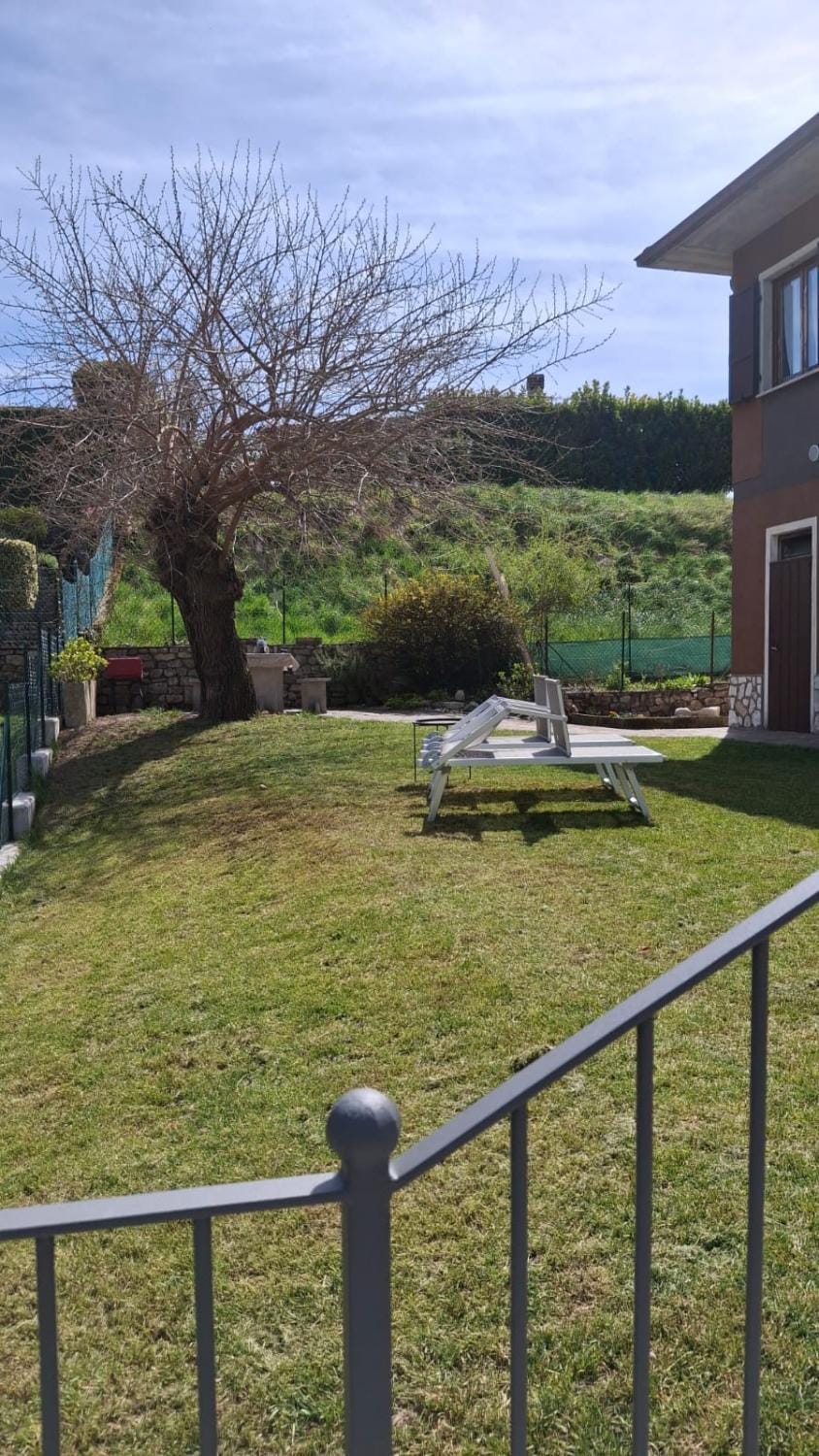 Natural landscape, Garden, Garden view