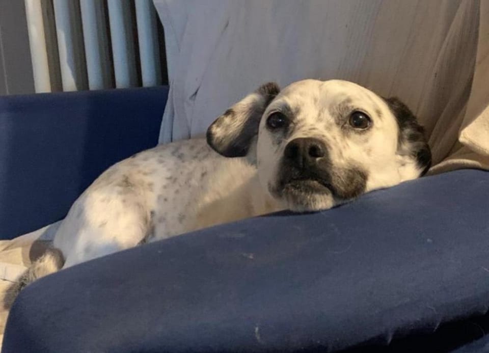 Casa Di Laino House in Lucca