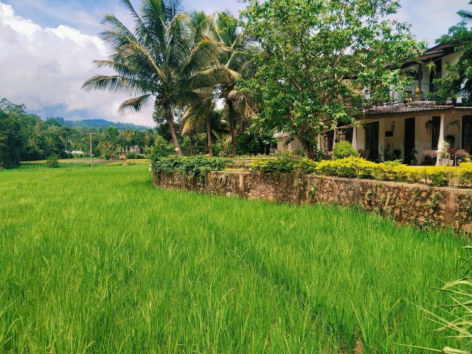 Landmark view