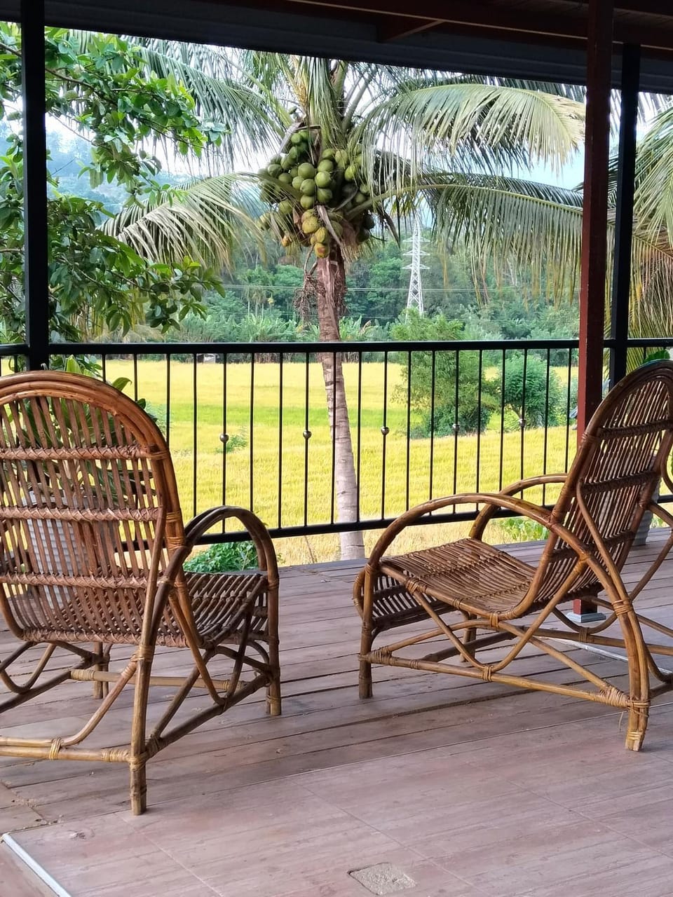 Day, View (from property/room), View (from property/room), Balcony/Terrace, Balcony/Terrace