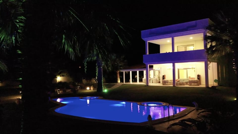 Night, Garden, Decorative detail, Garden view, Swimming pool