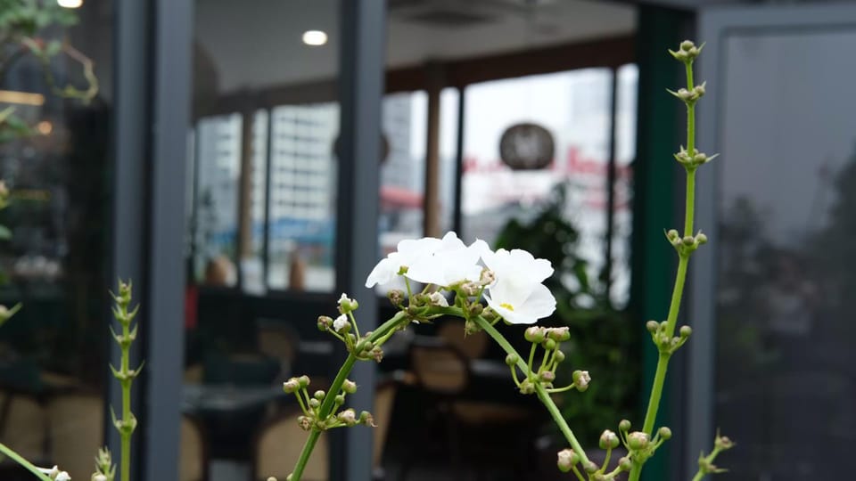 Restaurant/places to eat, Garden, Decorative detail