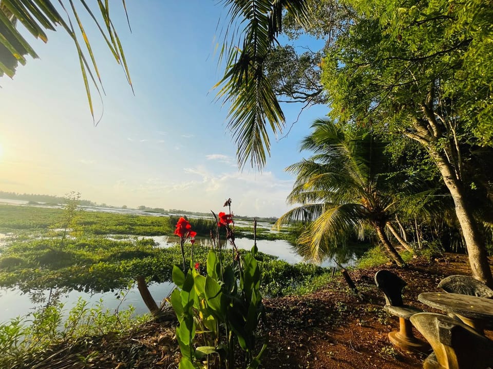 Natural landscape, Lake view