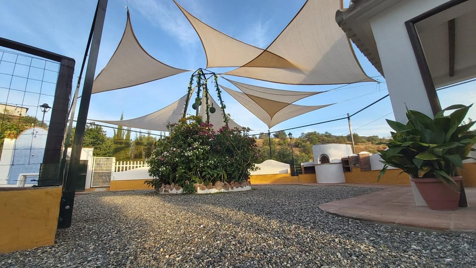 Patio, Garden