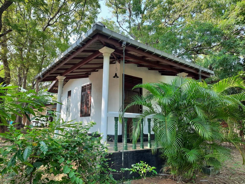 Property building, Day, Garden, Garden view