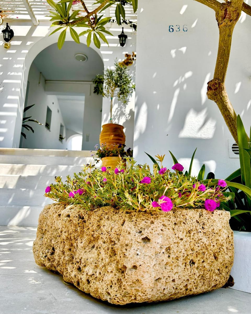 Property building, Garden