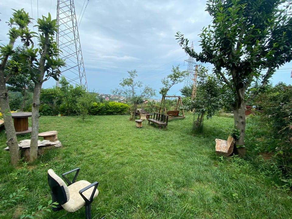 Natural landscape, Garden, Garden view