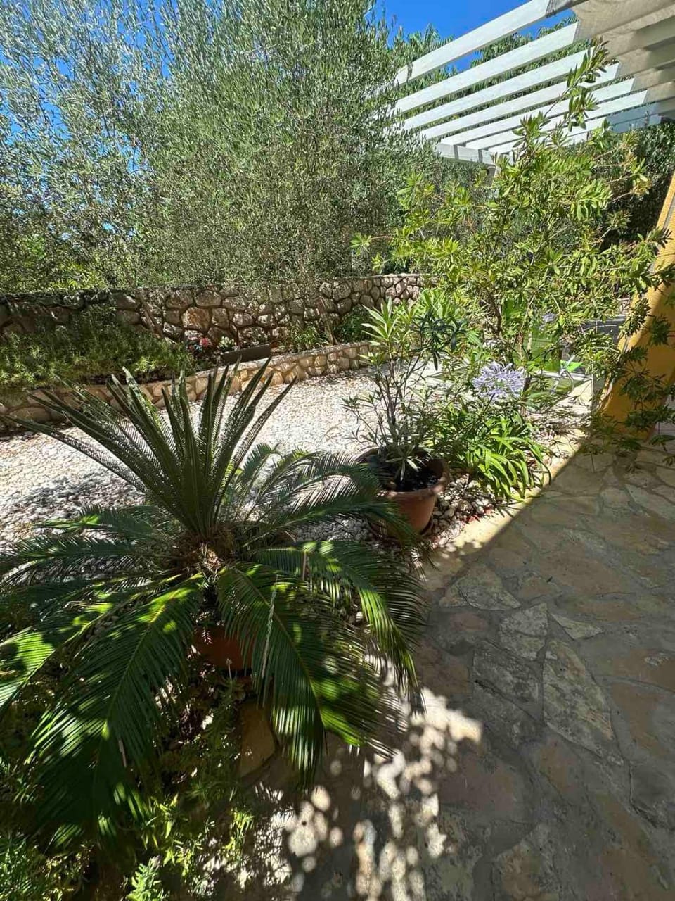 La Meri Apartment in Mali Losinj
