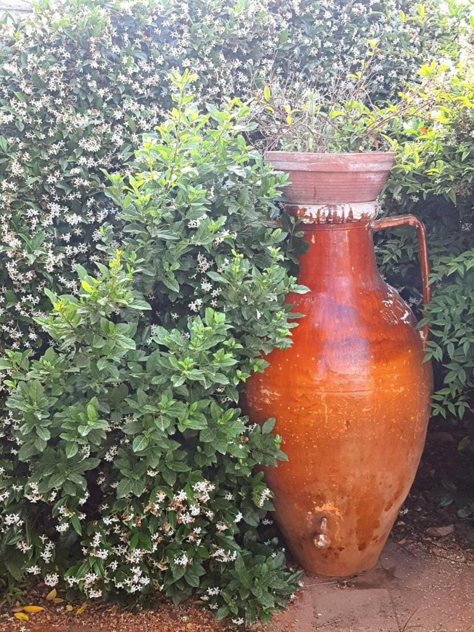 Day, Summer, Garden, Garden, Garden view, Garden view, Seasons