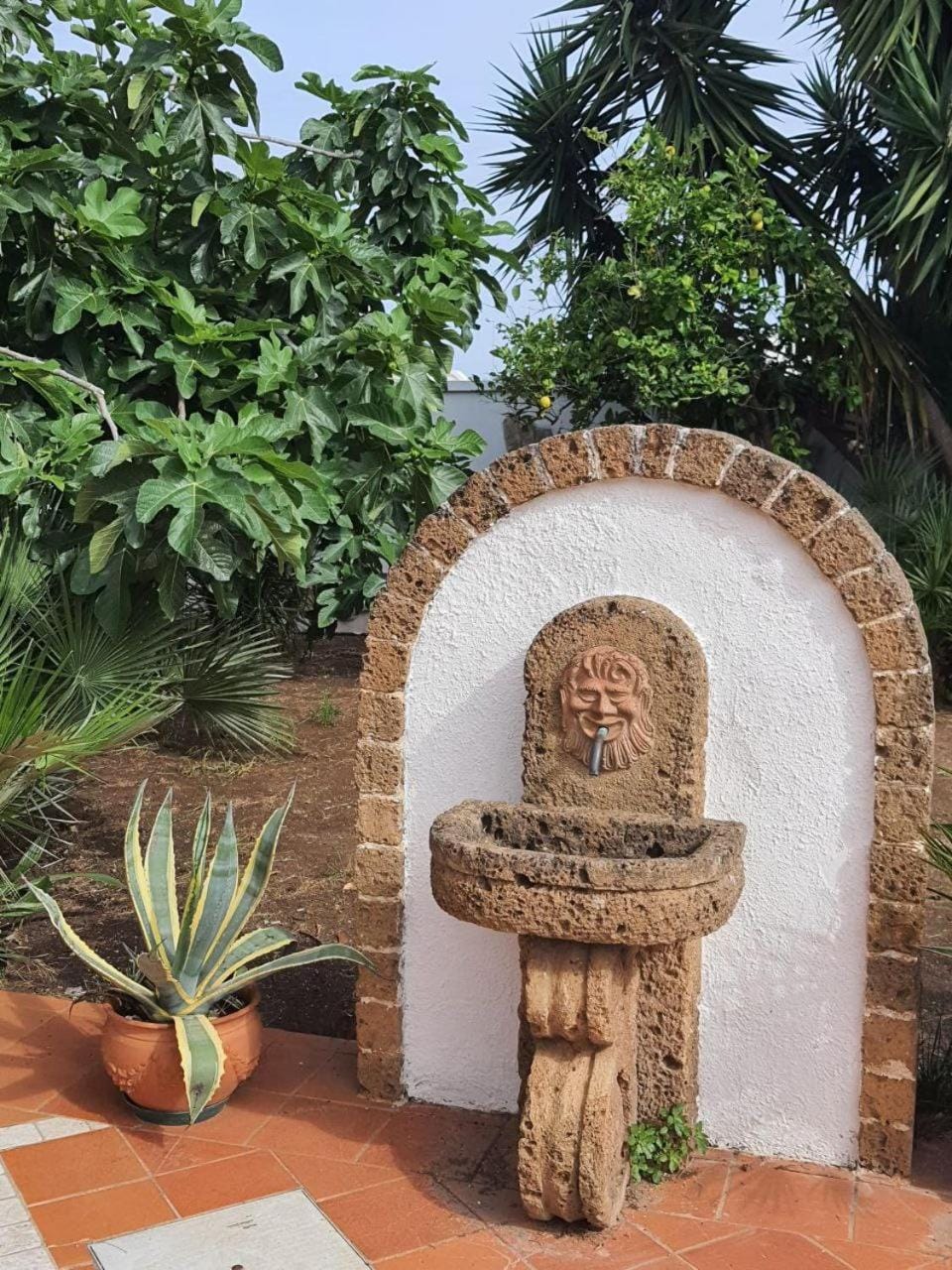 Garden, Garden, Garden view, Garden view, Seasons