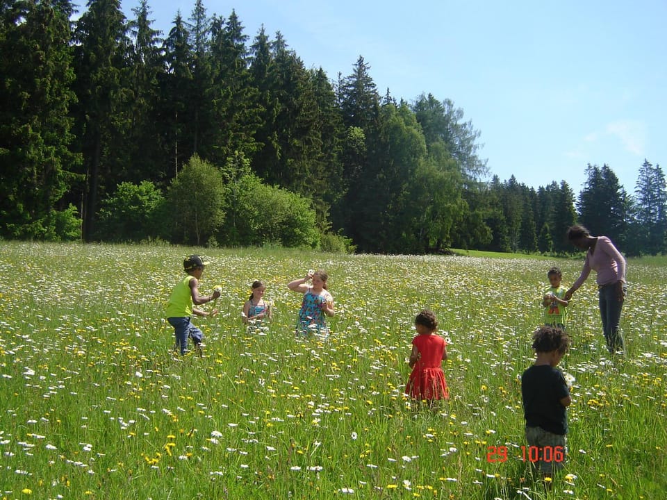 Biohof Stockinger Farm Stay in Upper Austria