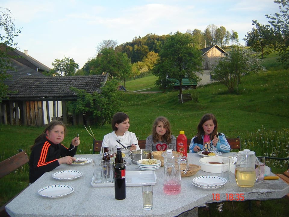 Biohof Stockinger Farm Stay in Upper Austria