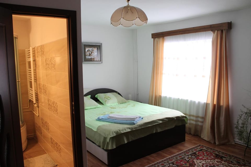 Pensiunea Alecsandra Bed and Breakfast in Romania
