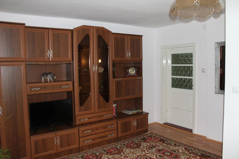 Pensiunea Alecsandra Bed and Breakfast in Romania