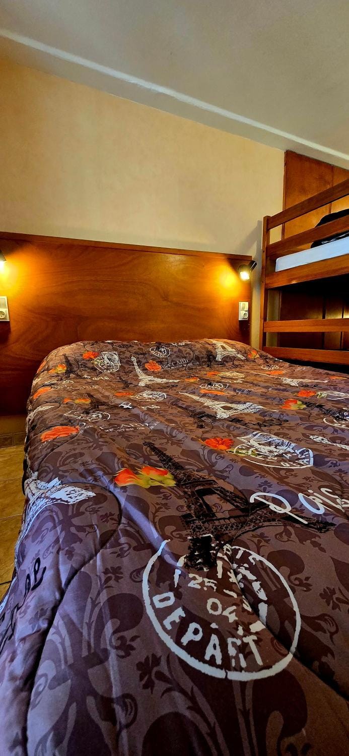 Bed, Photo of the whole room, Bedroom, bunk bed