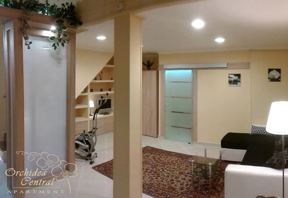 Living room, Photo of the whole room, Decorative detail