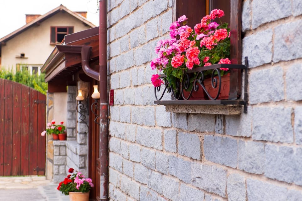 Grancharova Guest House Bed and Breakfast in Bansko