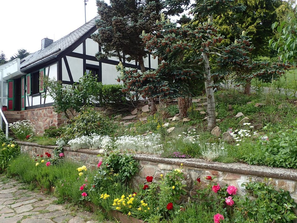 Facade/entrance, Spring