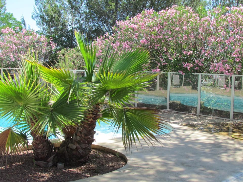 Patio, Swimming pool, Swimming pool