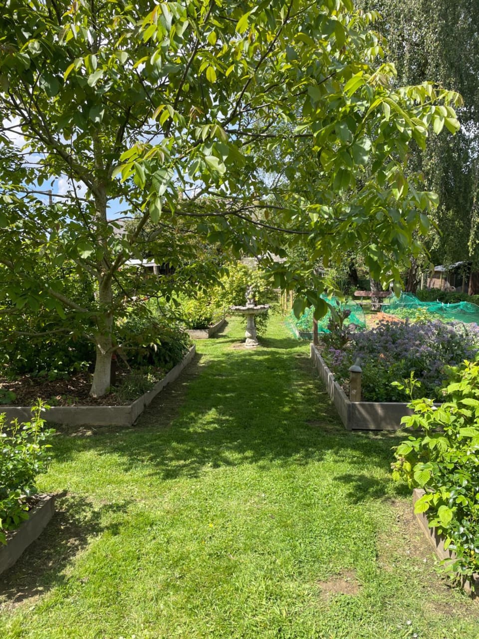 Spring, Garden, Garden view