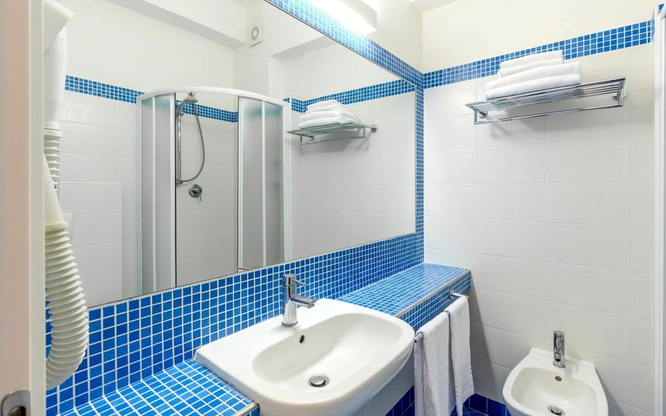 Shower, Toilet, Bathroom, towels