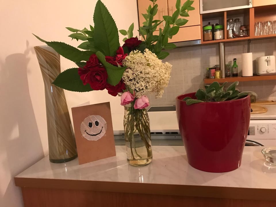 Orion Apartment 1 Apartment in Serbia