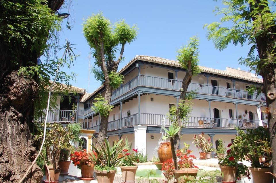 Patio, Garden, Garden view