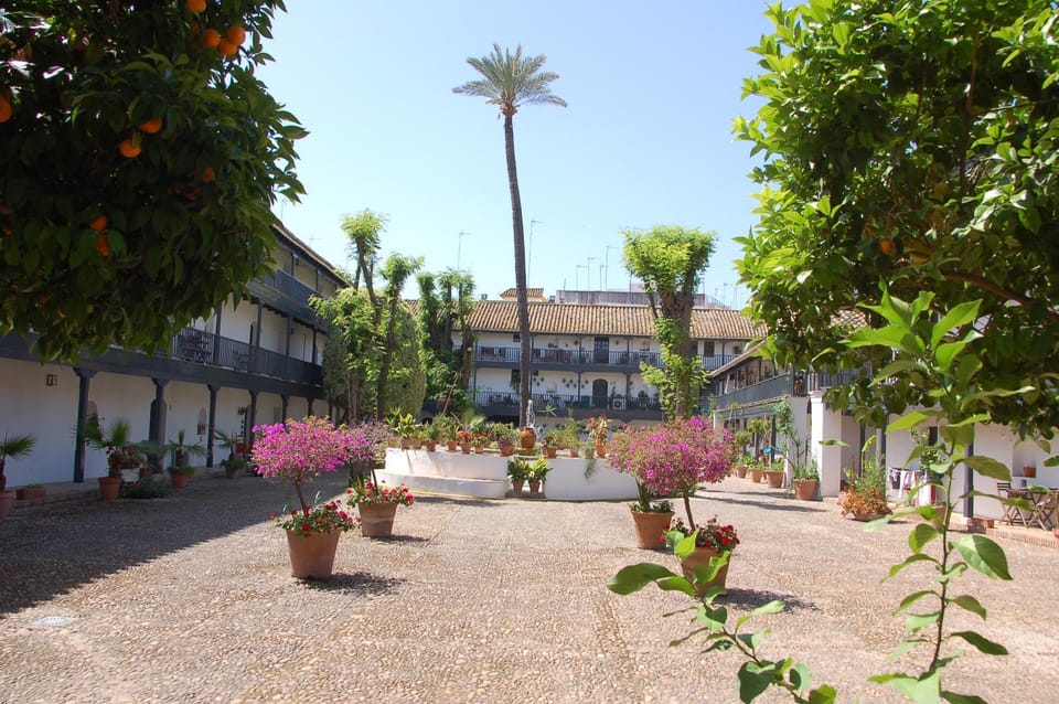 Patio, Garden, Garden view, Landmark view