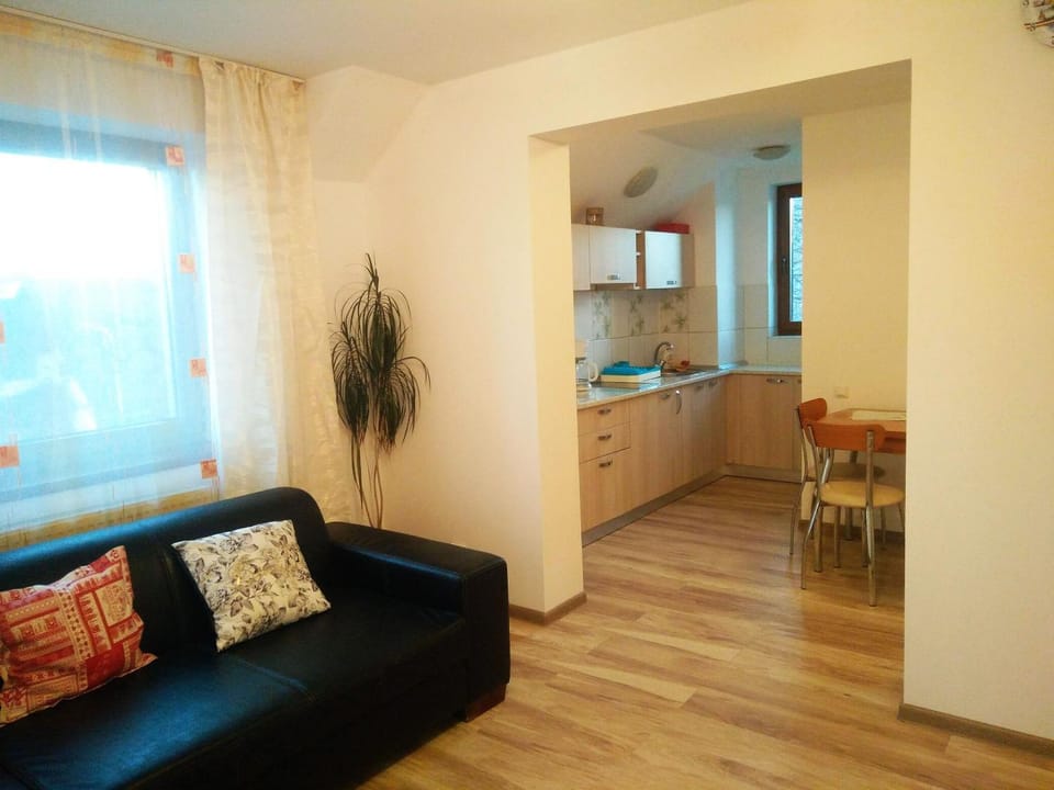 Kitchen or kitchenette, Living room, Seating area, Dining area