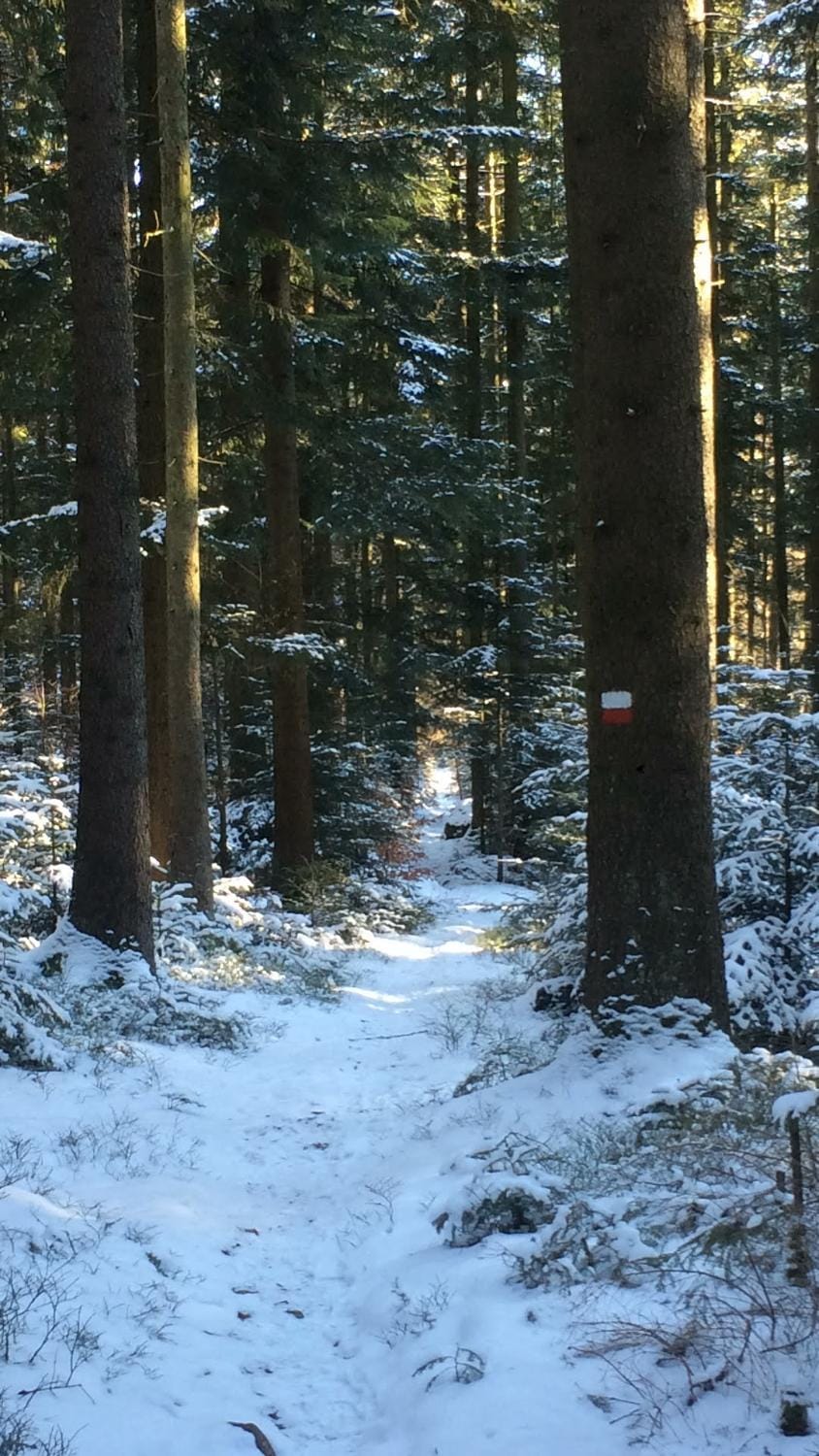 Natural landscape, Winter
