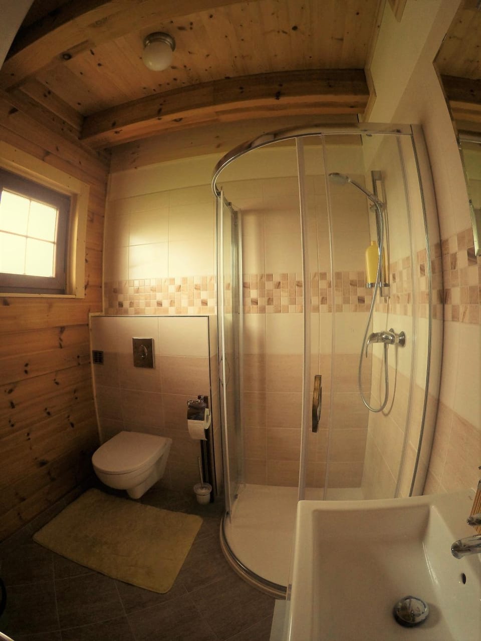 Shower, Toilet
