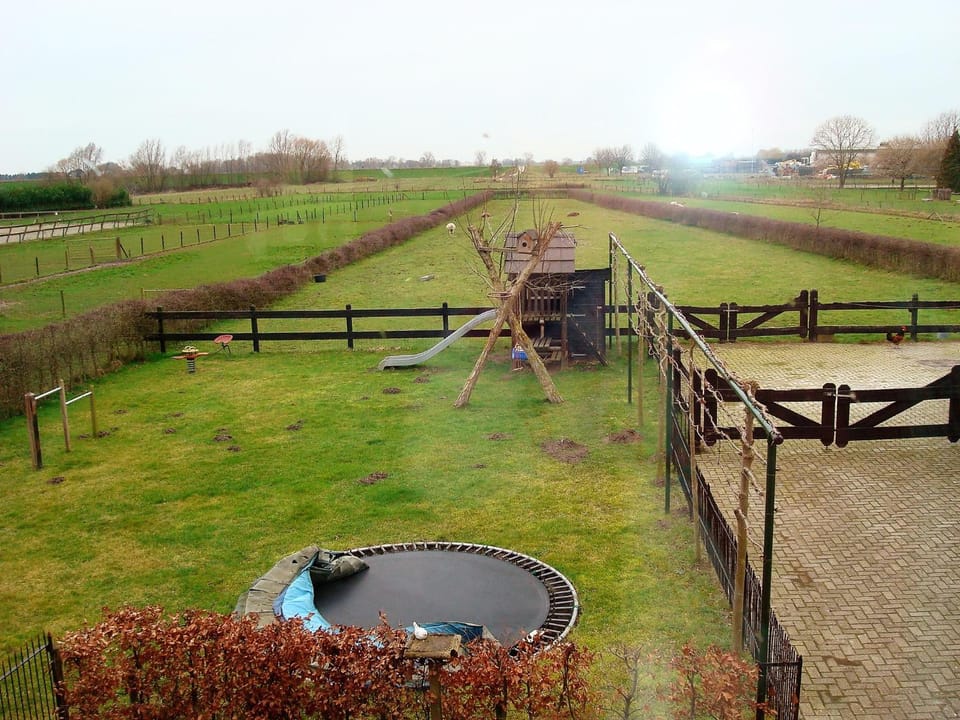Natural landscape, Garden view