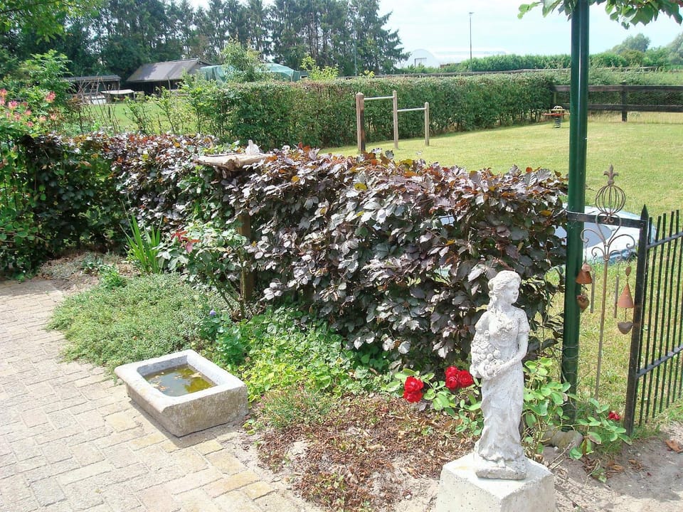 Garden, Balcony/Terrace, Garden view