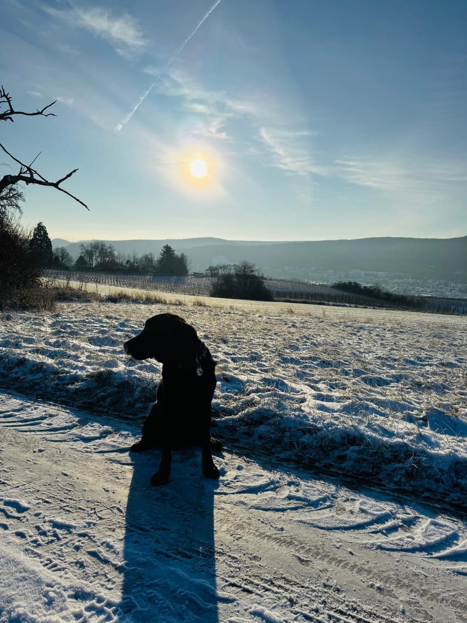 Weinquartier Burggarten Hotel in Bad Neuenahr-Ahrweiler