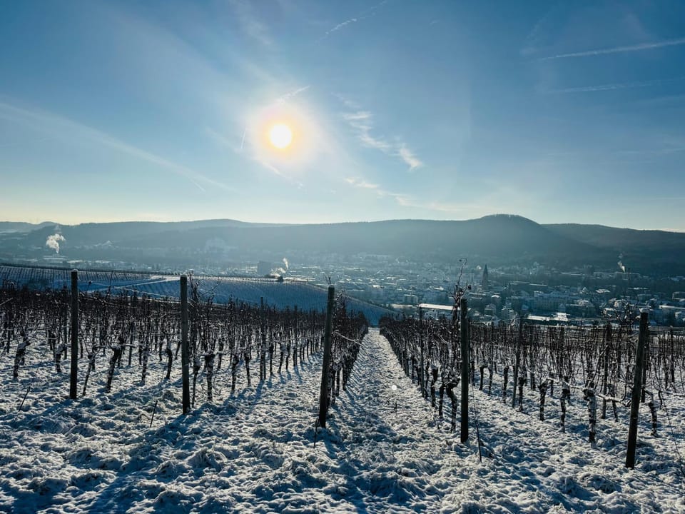 Weinquartier Burggarten Hotel in Bad Neuenahr-Ahrweiler