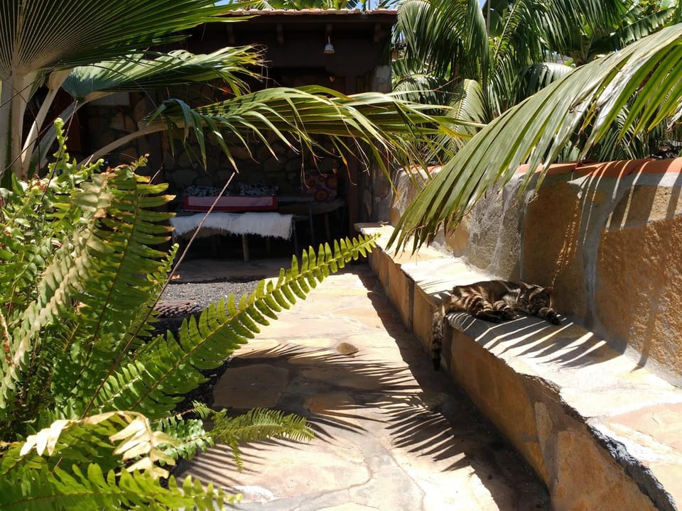 BBQ facilities
