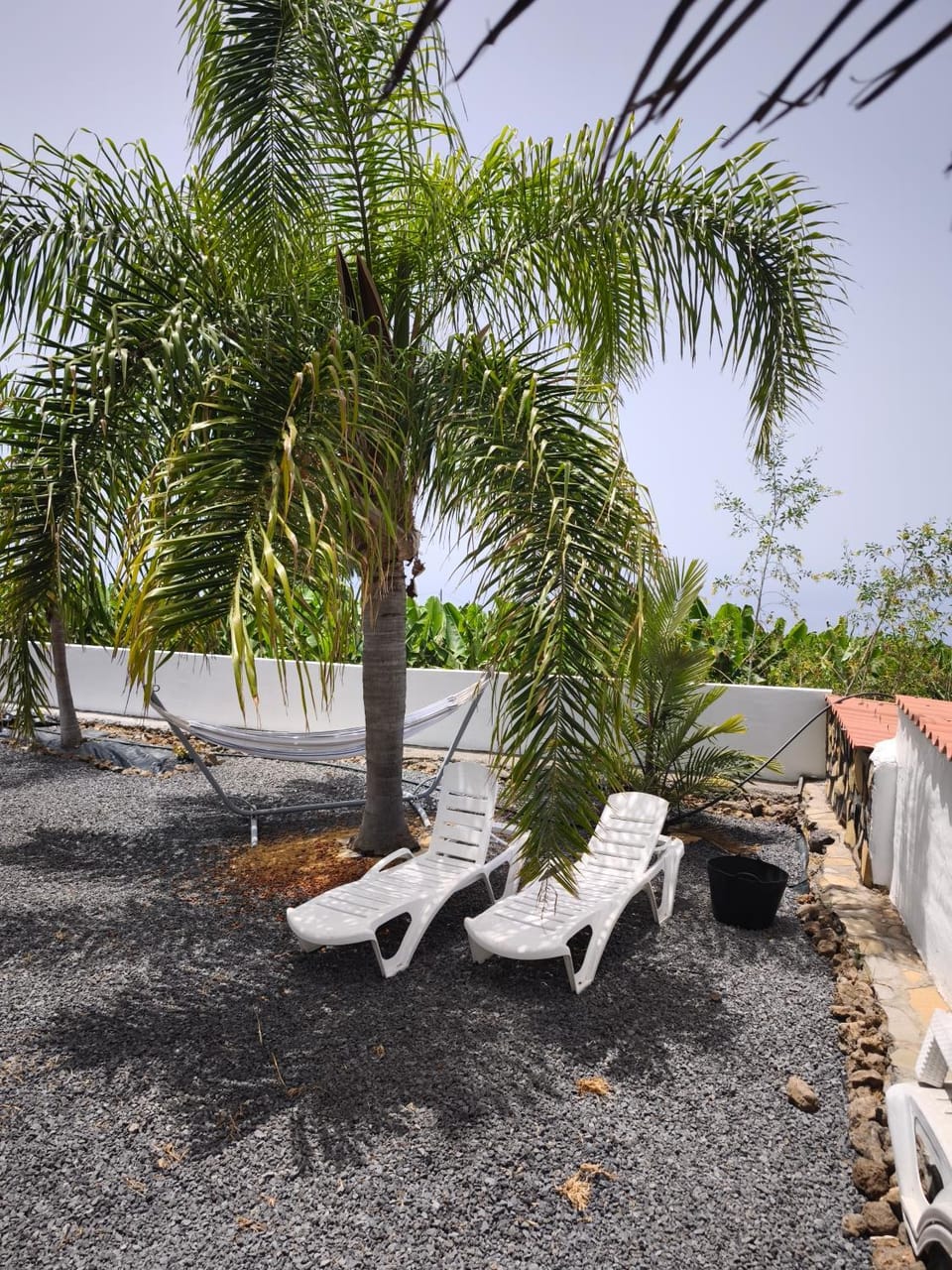 Garden, sunbed