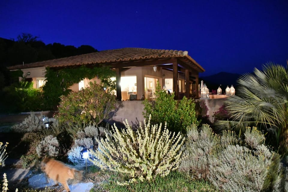 Garden view