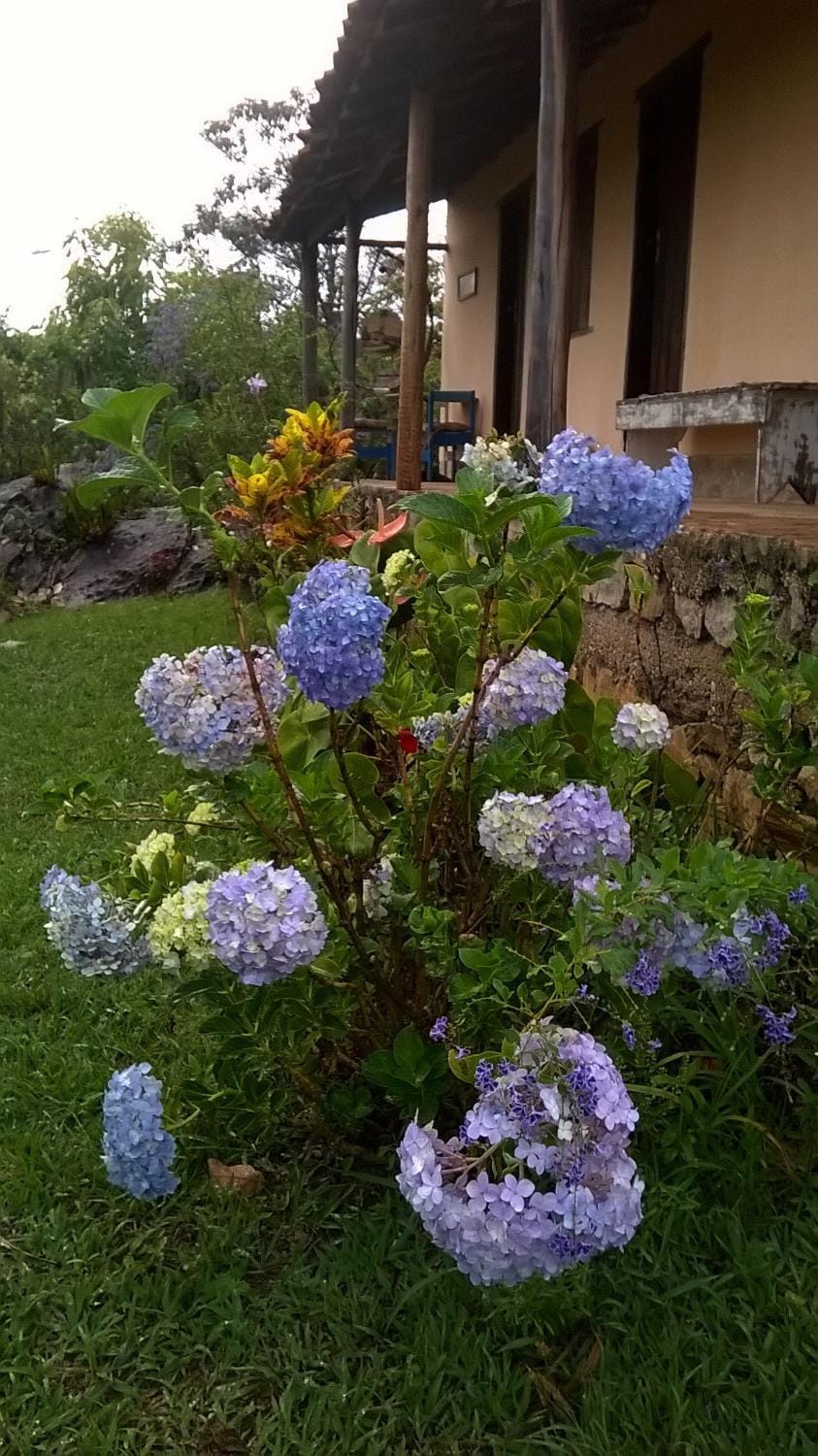 Pousada Sempre Viva Inn in State of Minas Gerais, Brazil