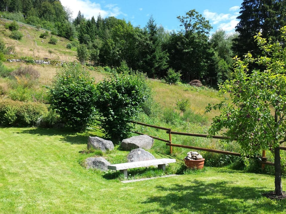 Garden view