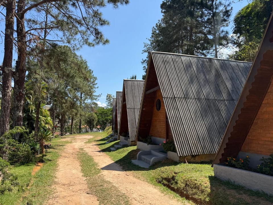 Property building, Garden view